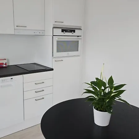 Apartman Modern Luxury